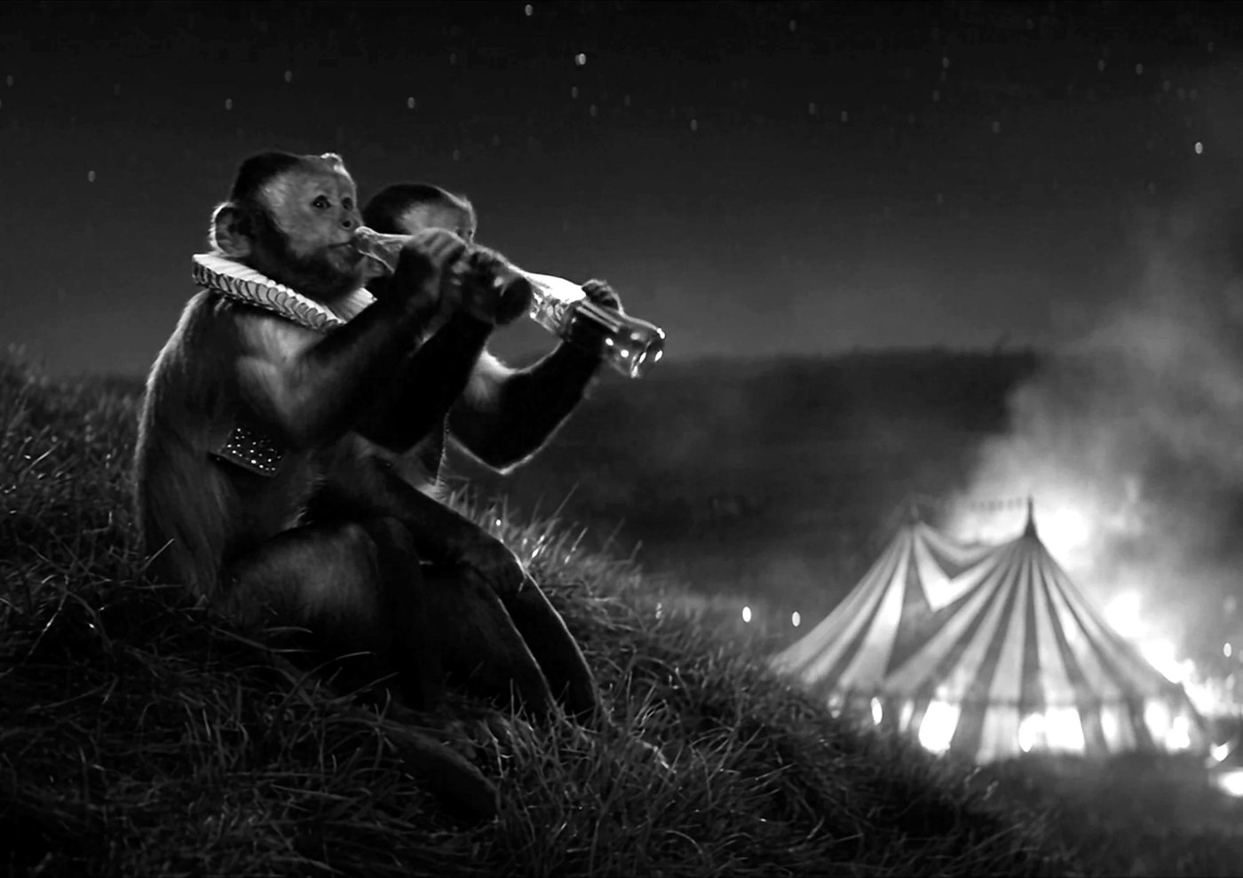Monkey drinking a soda near a burning circus tent